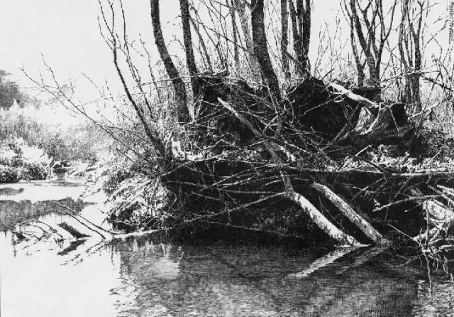 顶级超写实钢笔画,最惊艳的钢笔画大神