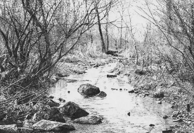 顶级超写实钢笔画,最惊艳的钢笔画大神