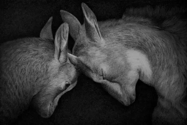 顶级超写实钢笔画,最惊艳的钢笔画大神