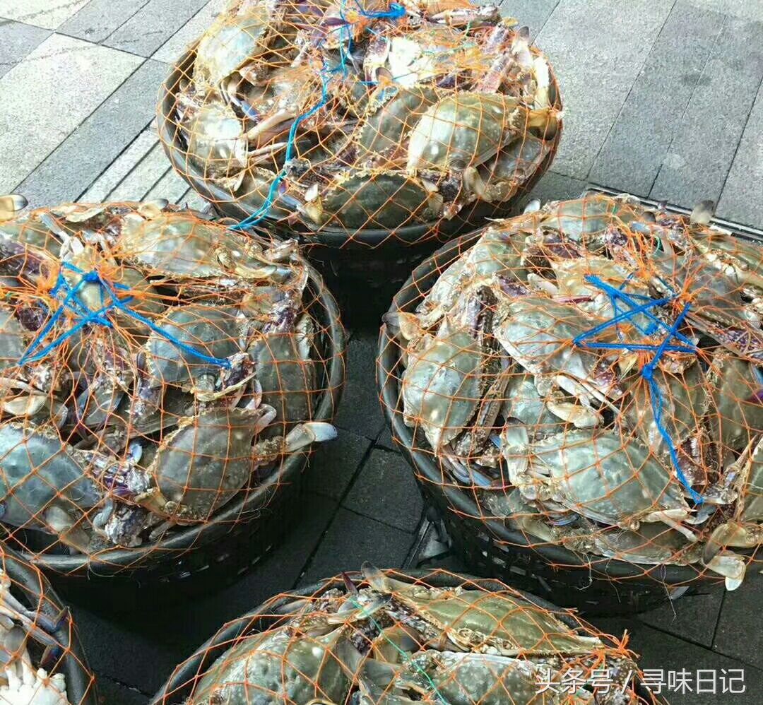 吃不完的梭子蟹怎么养起来,梭子蟹吃不习惯