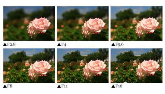 初学者单反相机入门教程,如何学习单反数码相机的简单操作