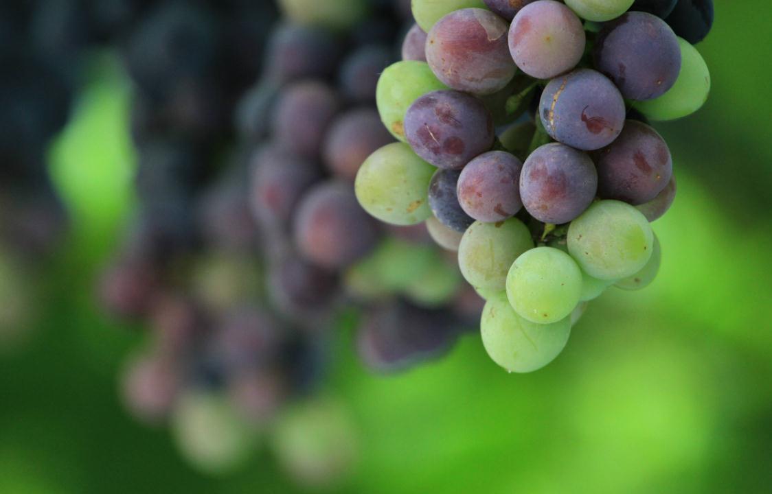 独来独往的人出现的三种气质,做人好的人身上都有的特征