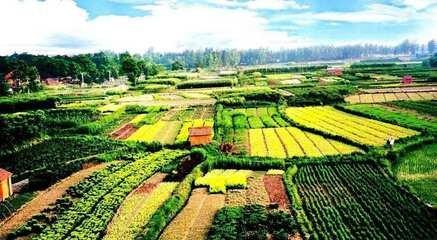 宅基地流转试点名单,宅基地确权2020年补贴