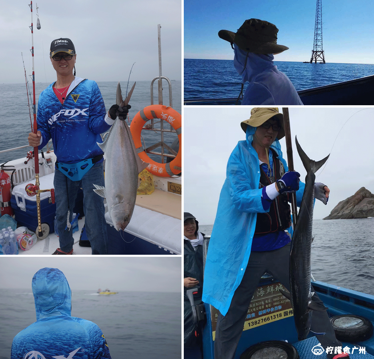 价值20w的金枪鱼,价值2k的蓝鳍金枪鱼