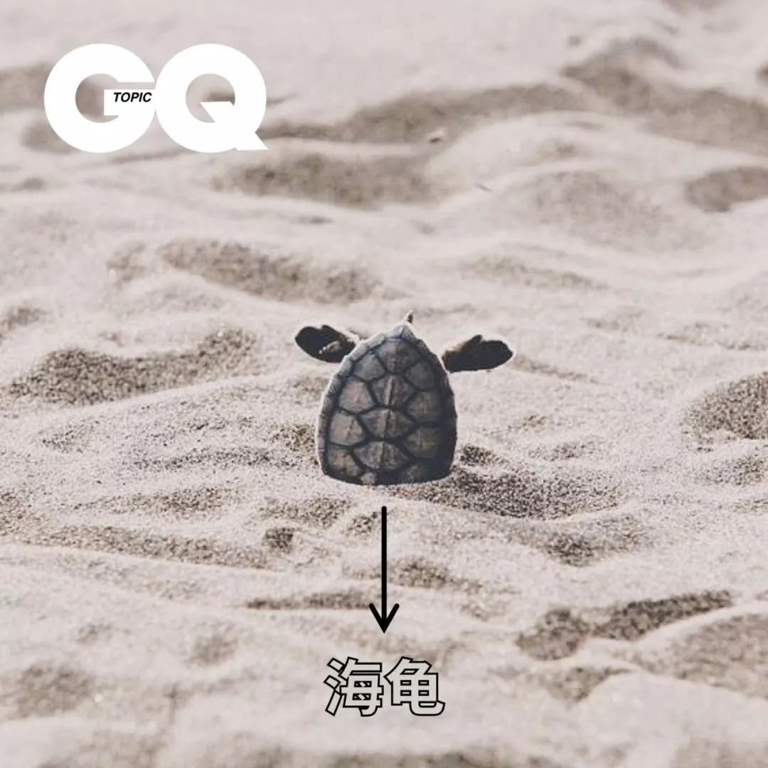 出国留学，可能是我人生中最错误的决定