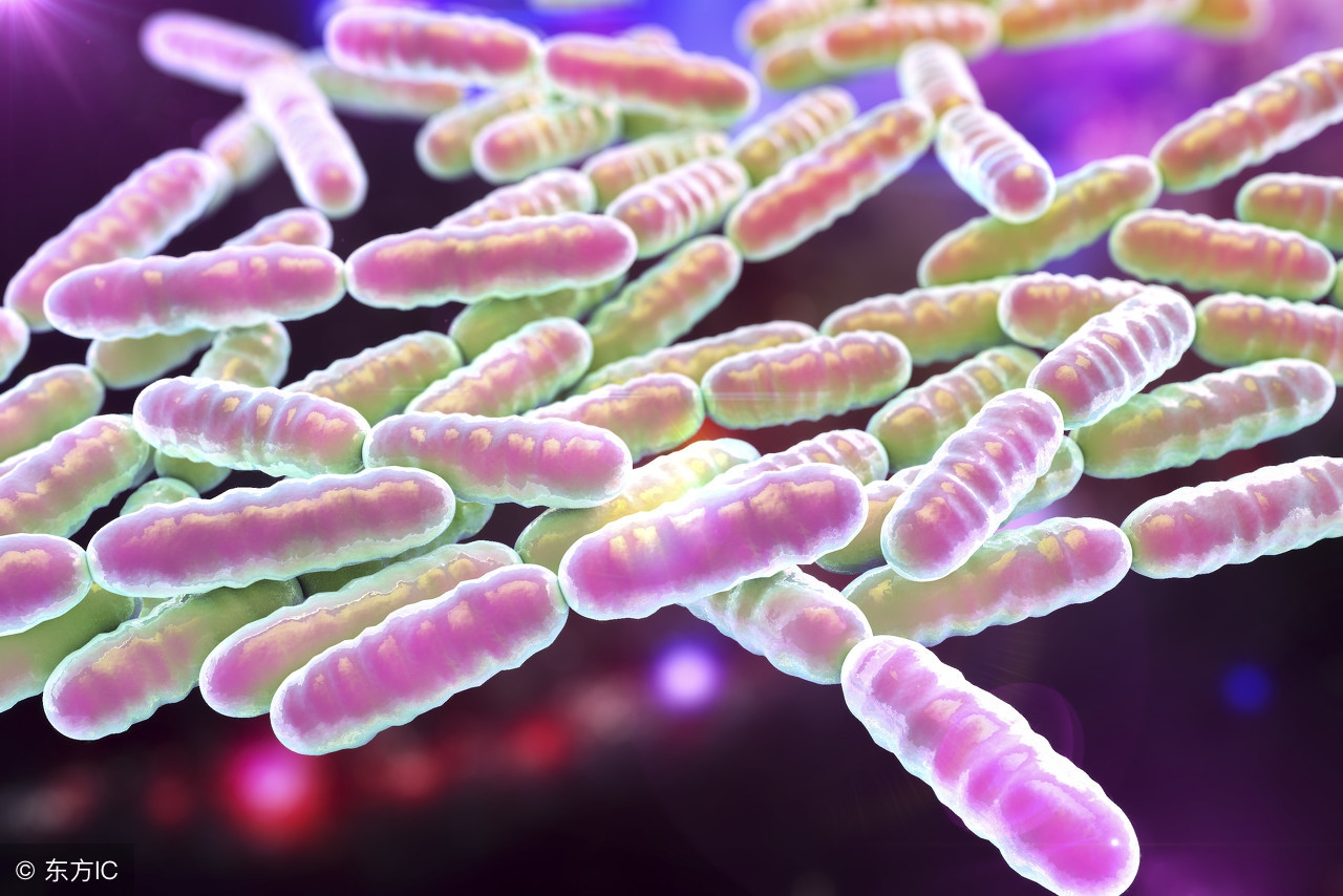 益生菌的作用与功效怎么吃,益生菌的作用以及用法