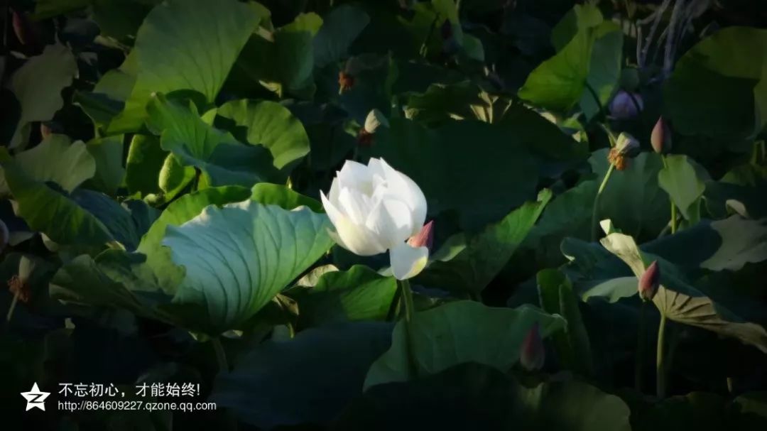 张掖是现在的什么城市,张掖一座被严重低估的城市