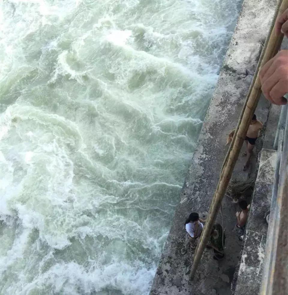 江油涪江二桥下4人1狗被困河中，怎么回事？