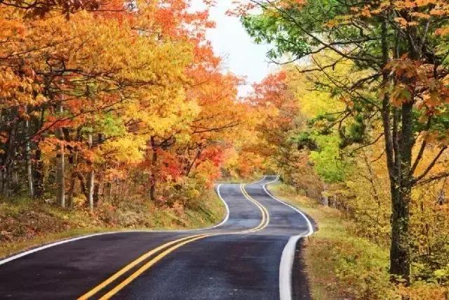 做人要沉稳不要说人坏话,做人不要听别人的闲话要做好自己