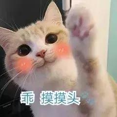 好用贵妇级面霜有哪些牌子,十大贵妇面霜排行榜干皮