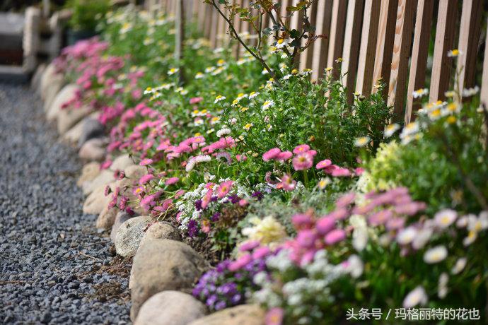 开满鲜花的小路教学设计一等奖,园丁培植万朵花