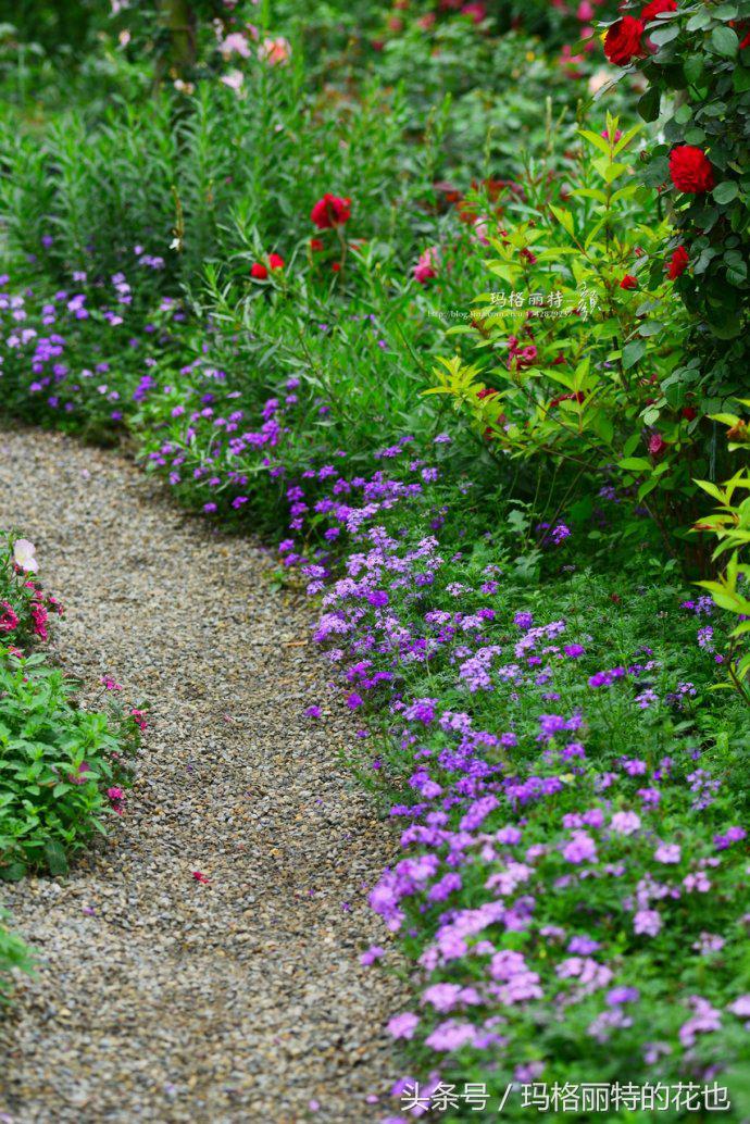开满鲜花的小路教学设计一等奖,园丁培植万朵花
