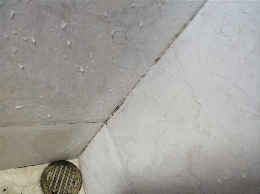 美国eureka,eureka蒸汽清洁机测评