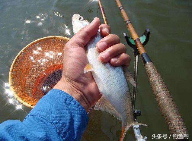十种钓鱼看漂技巧,钓鱼看漂十大技巧教学