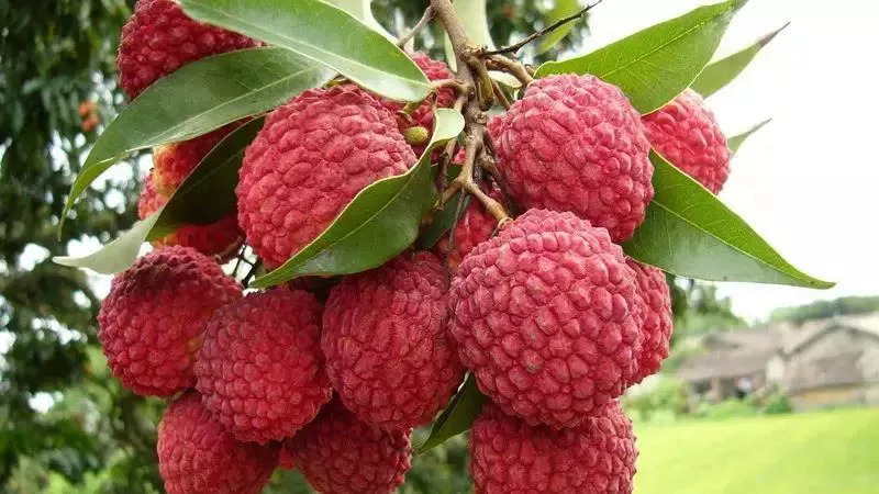 当巽寮湾五星遇上从化温泉!¥699=海王子亲海房+望谷国际公寓私家泡池房~还买1送1