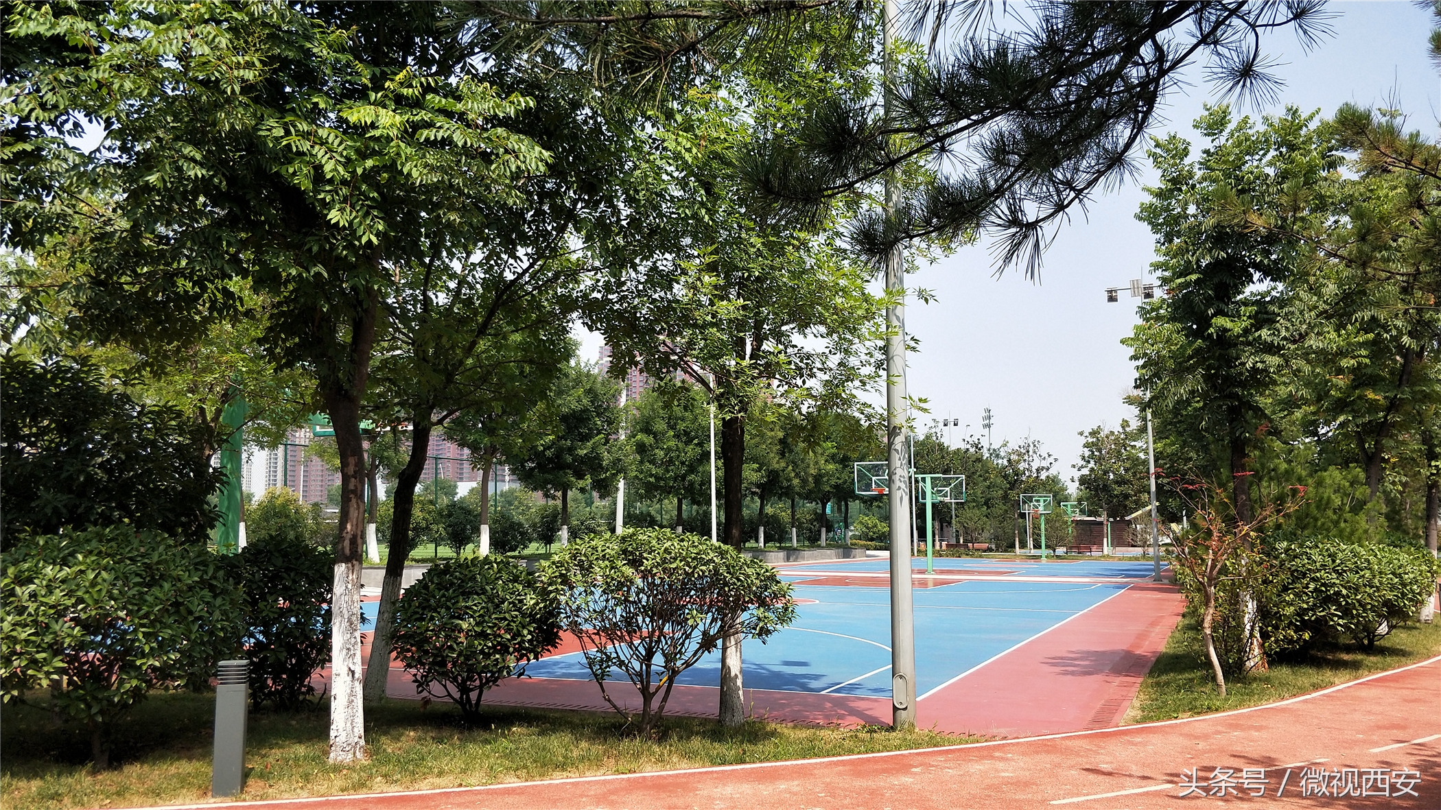 西安城市运动公园篮球场开放时间,西安南郊可以打篮球的公园