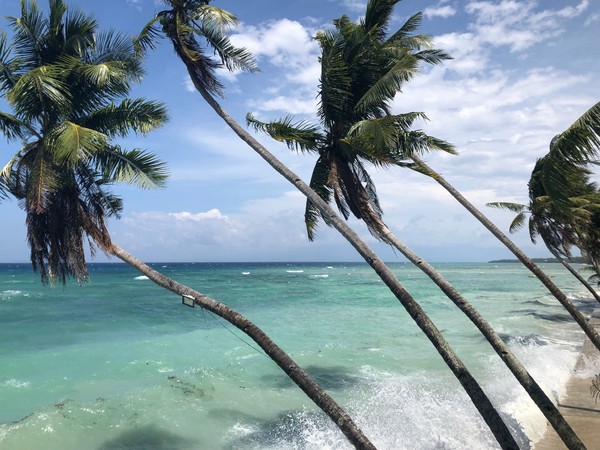 菲律宾自由行住宿雾岛,菲律宾薄荷岛宿务自由行