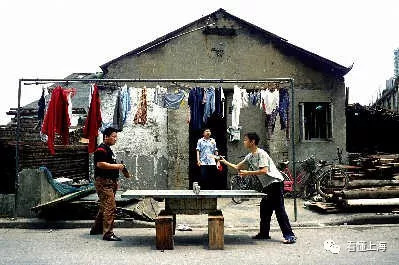 居家打乒乓,花园打乒乓