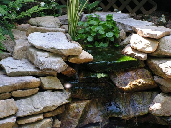 「龟龟环境篇」沼泽过滤(bogfilter):一种原生态水处理技术