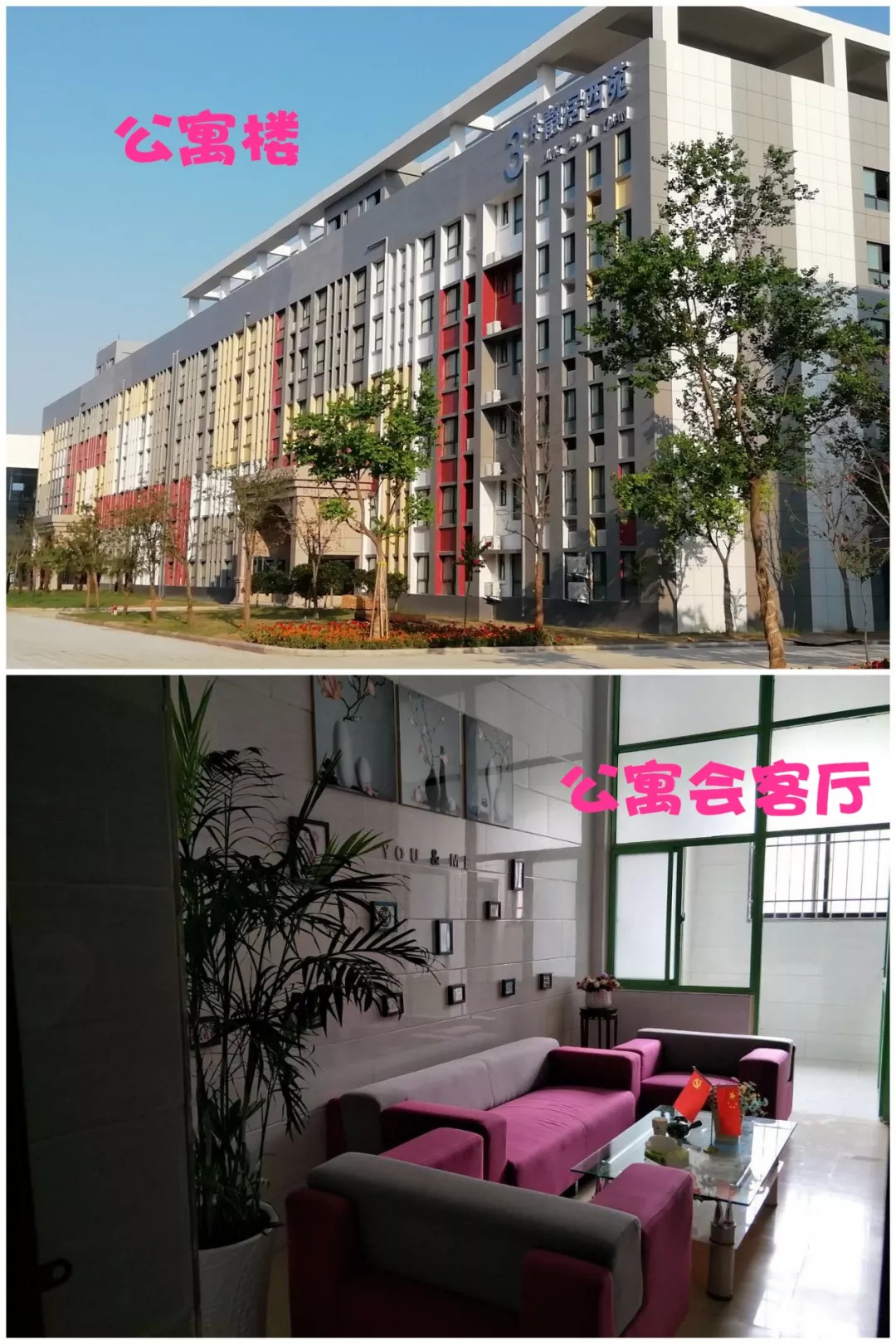 河南大学寝室条件如何,河南高校的宿舍条件