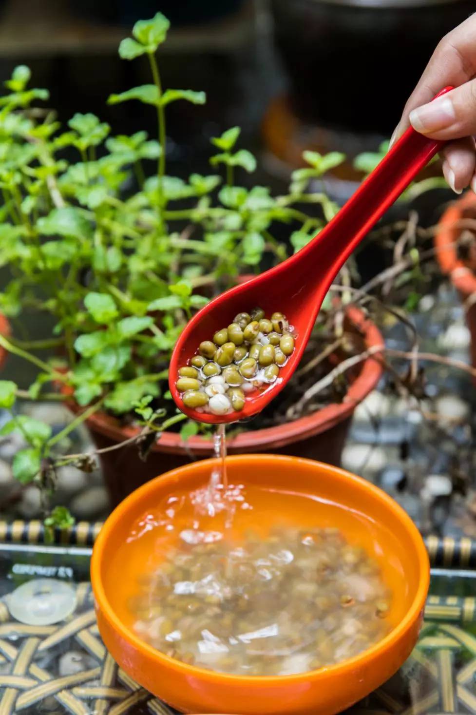 魔都鲜肉月饼大盘点 (好吃月饼测评排行榜)