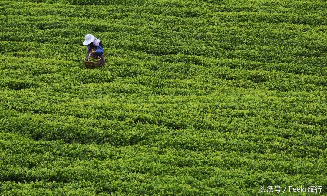 嵛山岛万亩草场,嵛山岛中国十大最美岛屿之一