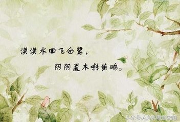 王维山水田园诗十二首，心累的时候，归隐在山水里