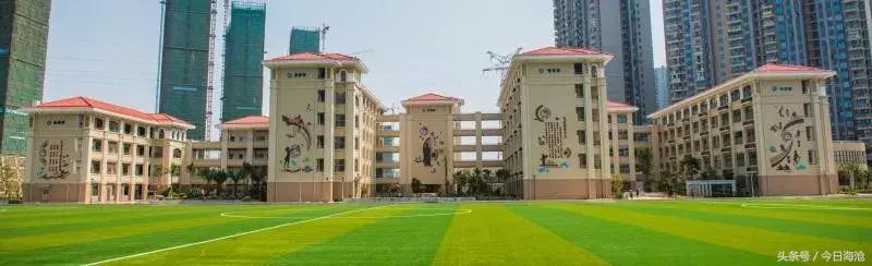 厦门海沧成绩最好的小学,海沧最好的中学排名