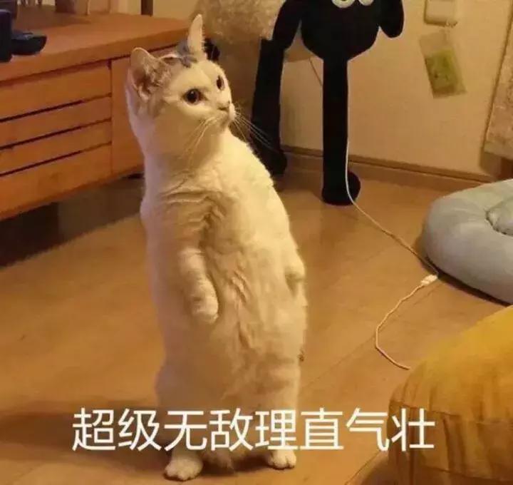 湖工款“AJ”今日正式上线！带你体验不一样的湖工时尚