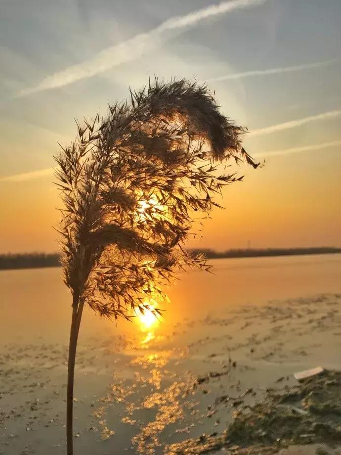 天津市区旅游景点大全集地图,天津超全游玩攻略懒人自取