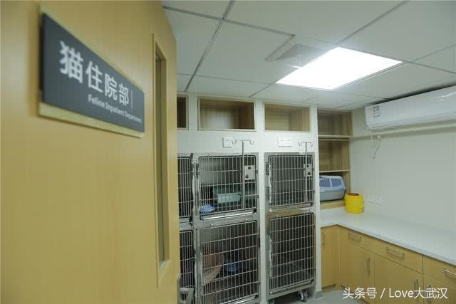 爱宠宠物医院服务中心,爱宠宠物医疗中心