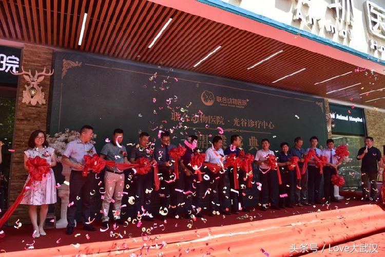 爱宠宠物医院服务中心,爱宠宠物医疗中心