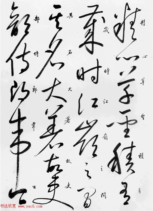 启功临怀素自叙帖高清放大版,启功临怀素自叙帖原文