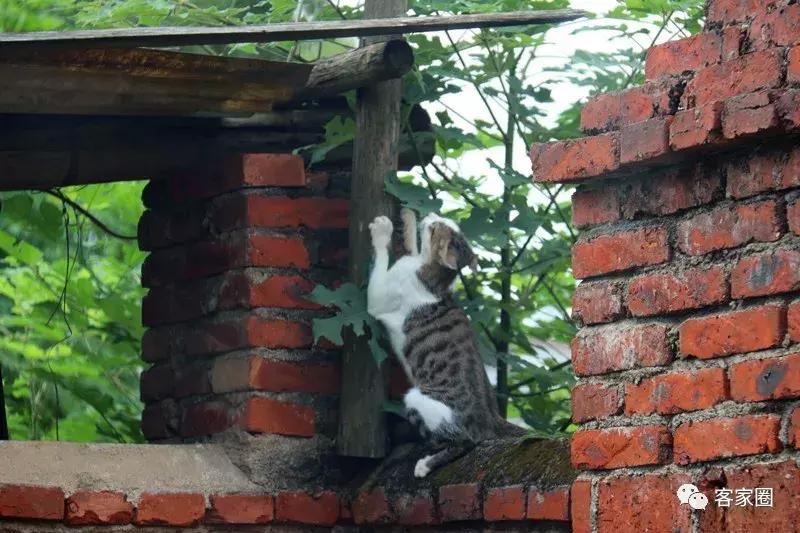 蓉江新区潭东最新消息,蓉江新区潭东最新规划宋塘村