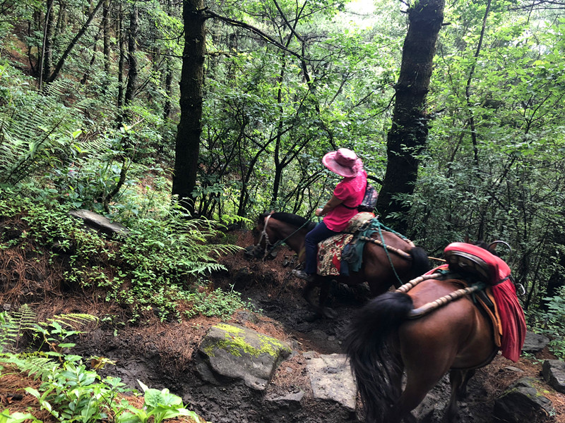 鑻嶅北鏅尯鍊煎緱鍘诲悧,鑻嶅北娓哥帺娉ㄦ剰浜嬮」