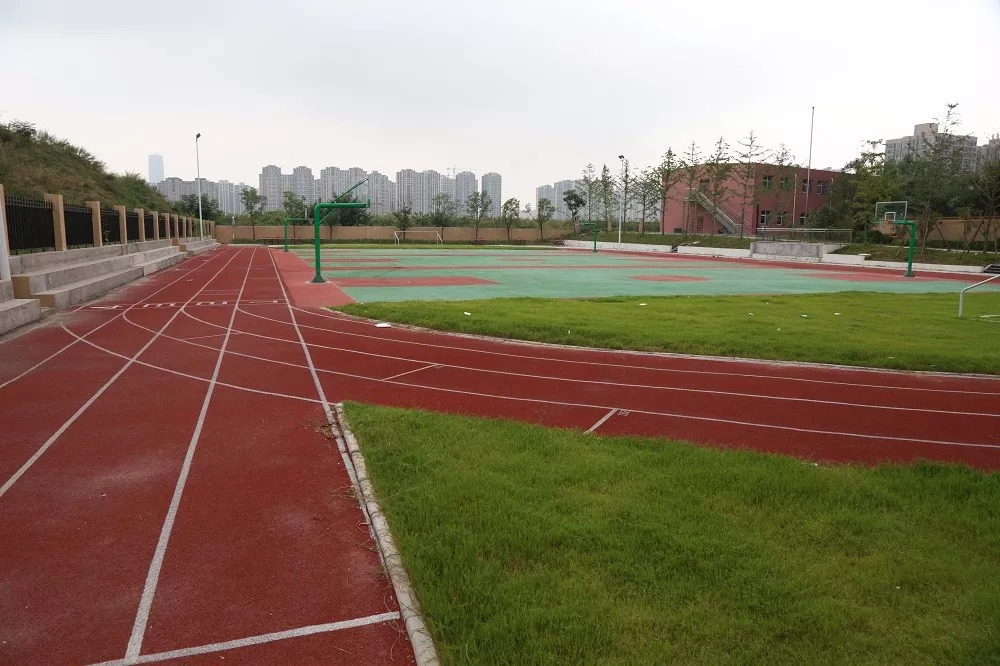 西咸新区以后的教育规划,西咸新区新增学校有哪些