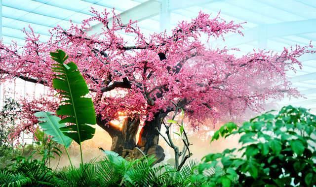 鞍山市绿中海温泉水上乐园团购,鞍山绿中海温泉度假村有游泳馆吗