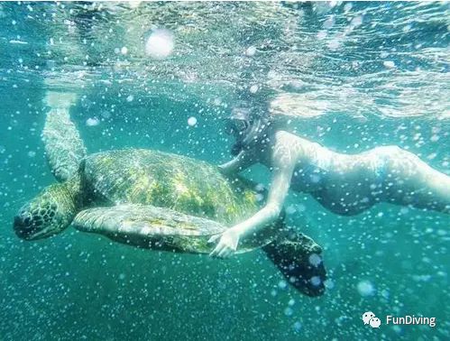 怀孕了潜水有什么影响,准备备孕可以去潜水吗