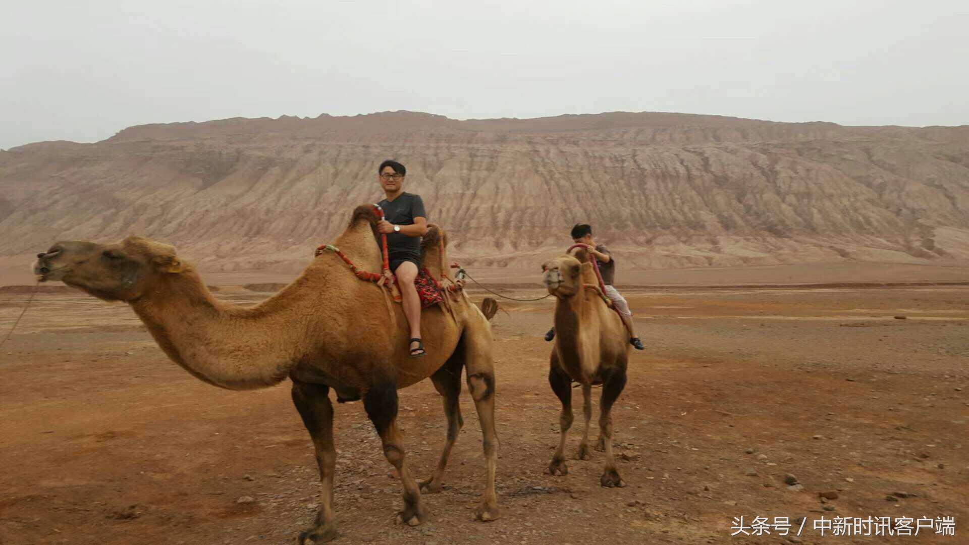 鍥捐鏂扮枂鍙樺寲,鍥捐鏂扮枂
