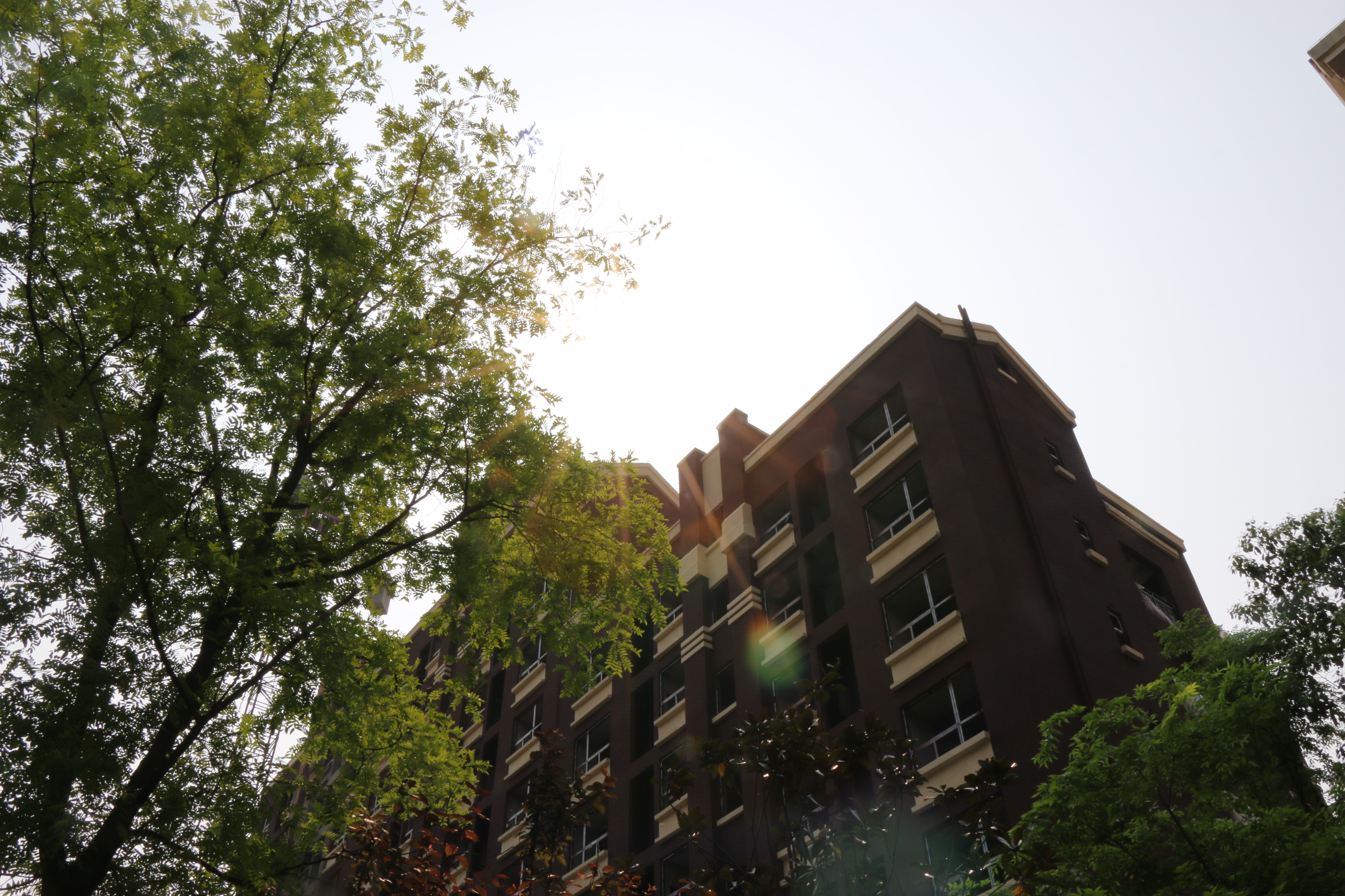 新澜康桥名邸,新澜康桥名邸价格