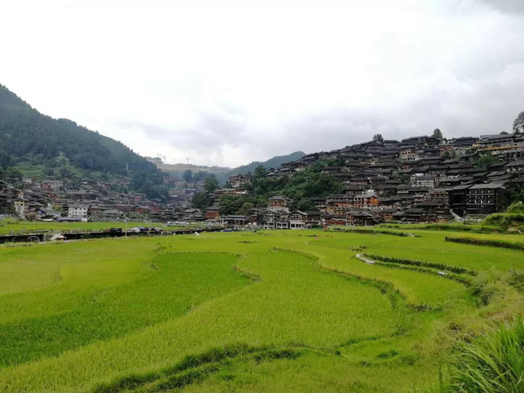 暑假生活印象最深的一件事,有什么有趣的暑假生活