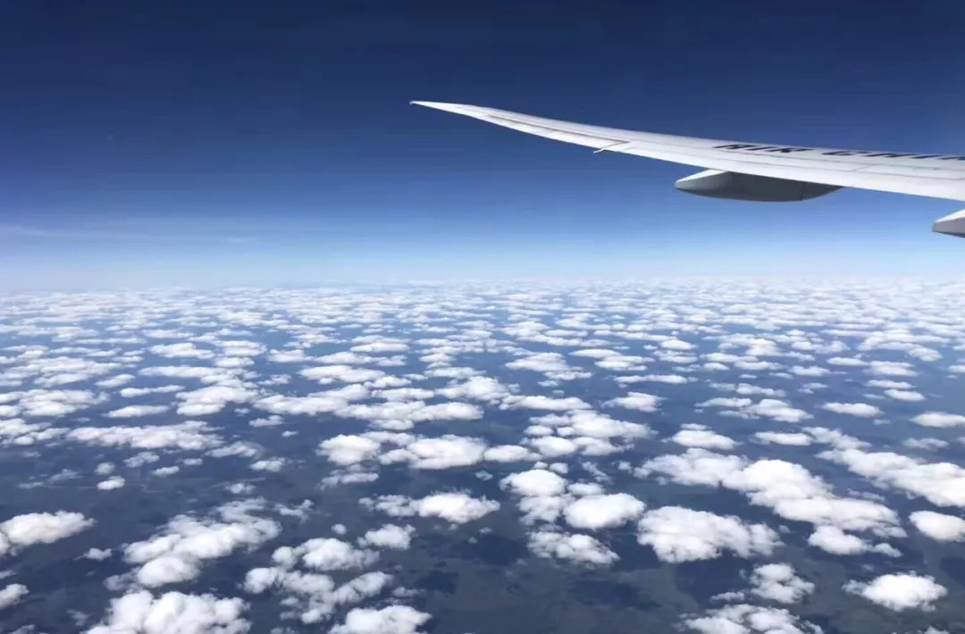 暑假生活印象最深的一件事,有什么有趣的暑假生活