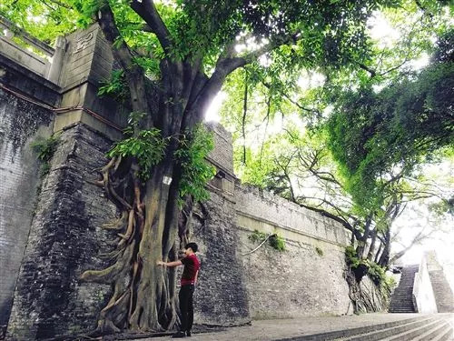 以前的南宁邕江大桥,南宁市邕江大桥以前的样子