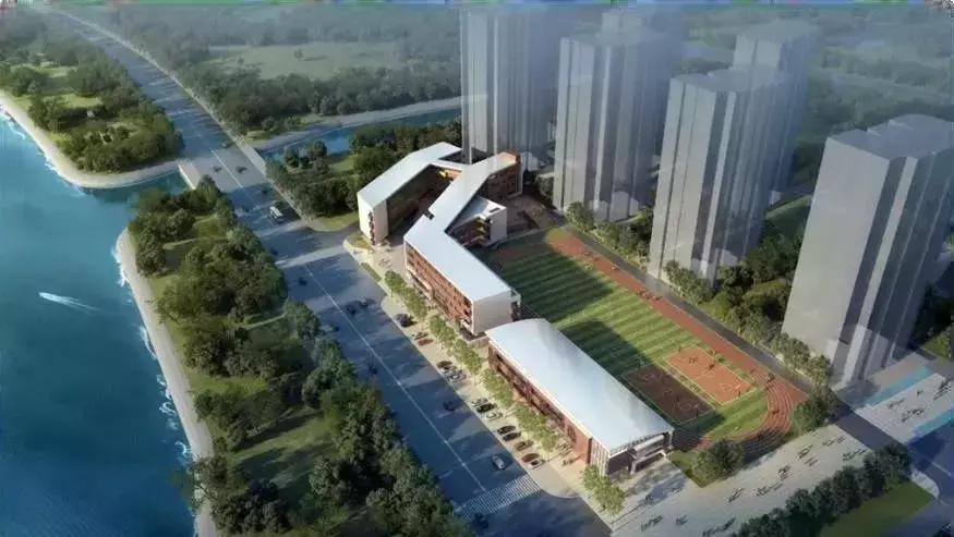 南沙比较好的公办小学,南沙新开的小学