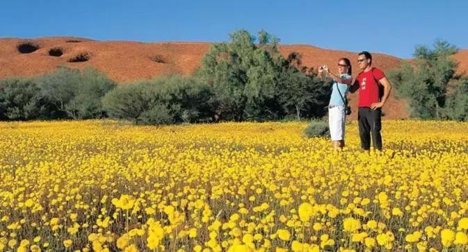 33个理由告诉你，为什么一生一定要去一次澳大利亚！