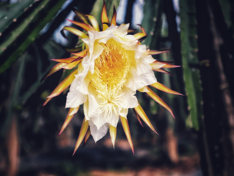 苏皖浙三省交界处,秋冬广德旅游攻略