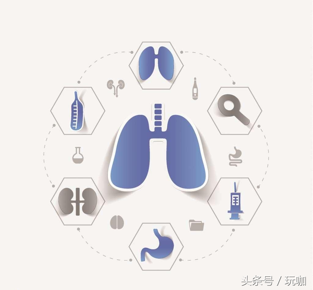 理论上的人类速度极限,人类理论上所能达到的最高速度