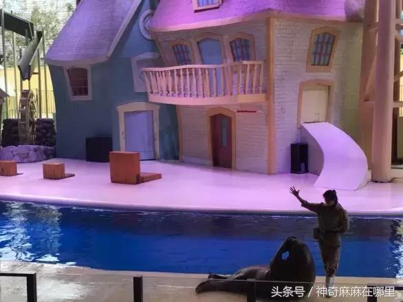 珠海长隆旅游攻略3天自由行,亲子游珠海长隆一日游攻略