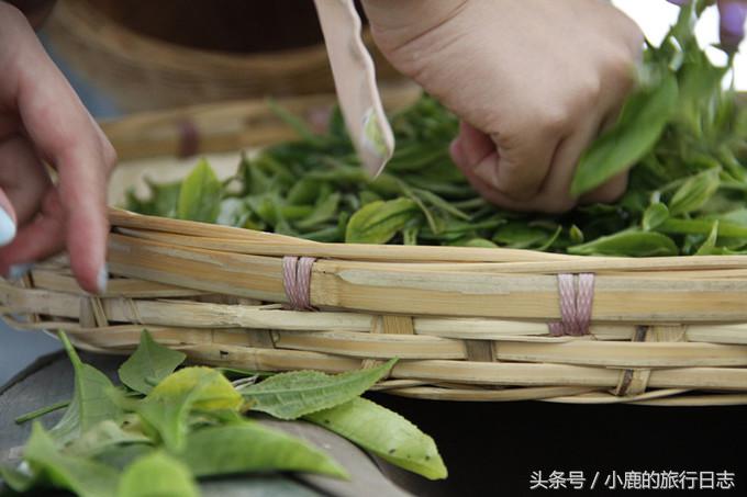 苍山一天怎么玩,苍山怎么玩不累