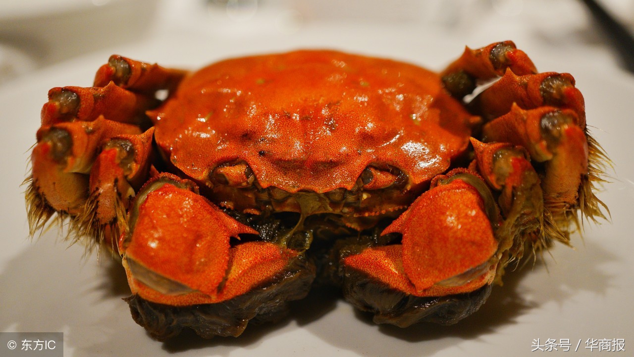 正宗阳澄湖大闸蟹西安,西安阳澄湖大闸蟹有哪些